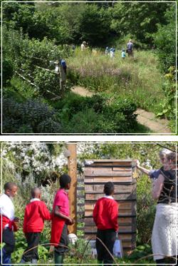 Young people at the Roots and Shoots wildlife garden